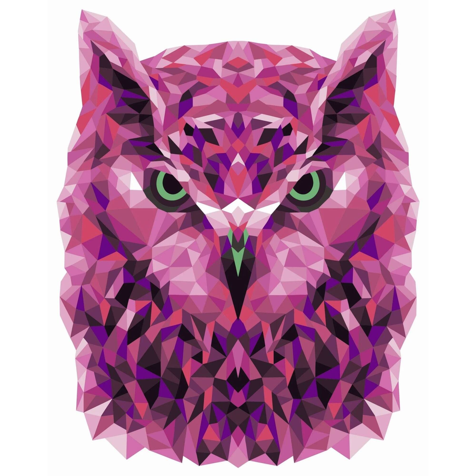 Crafting Spark Celebration Poly Owl Painting by Numbers Kit